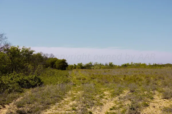 $671,181 | Pavolosky Place, Shamrock, TX 79079