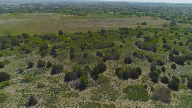 $671,181 | Pavolosky Place, Shamrock, TX 79079