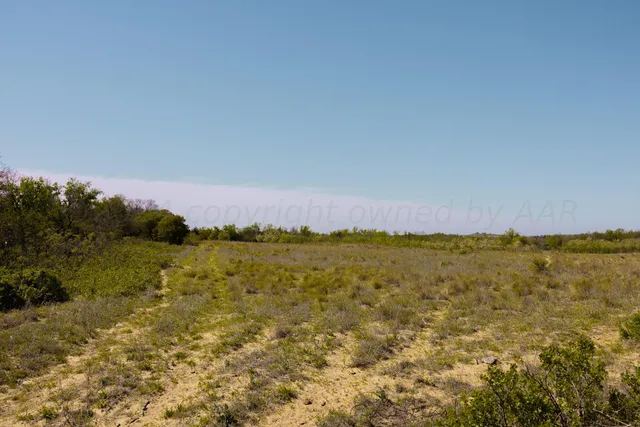 $671,181 | Pavolosky Place, Shamrock, TX 79079