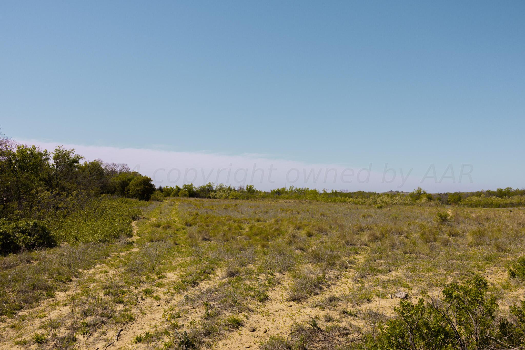 Pavolosky Place Shamrock, TX 79079 - Photo 8 of 46 3J8A2522