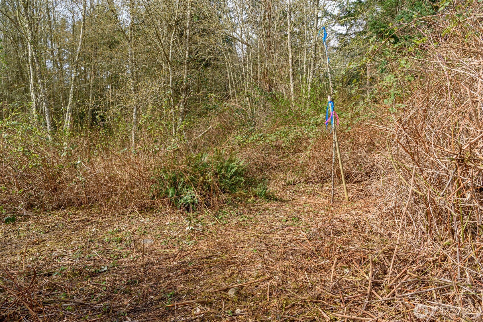 -nhn Polnell Road Oak Harbor, WA 98277 - Photo 15 of 31 a bathroom with a shower