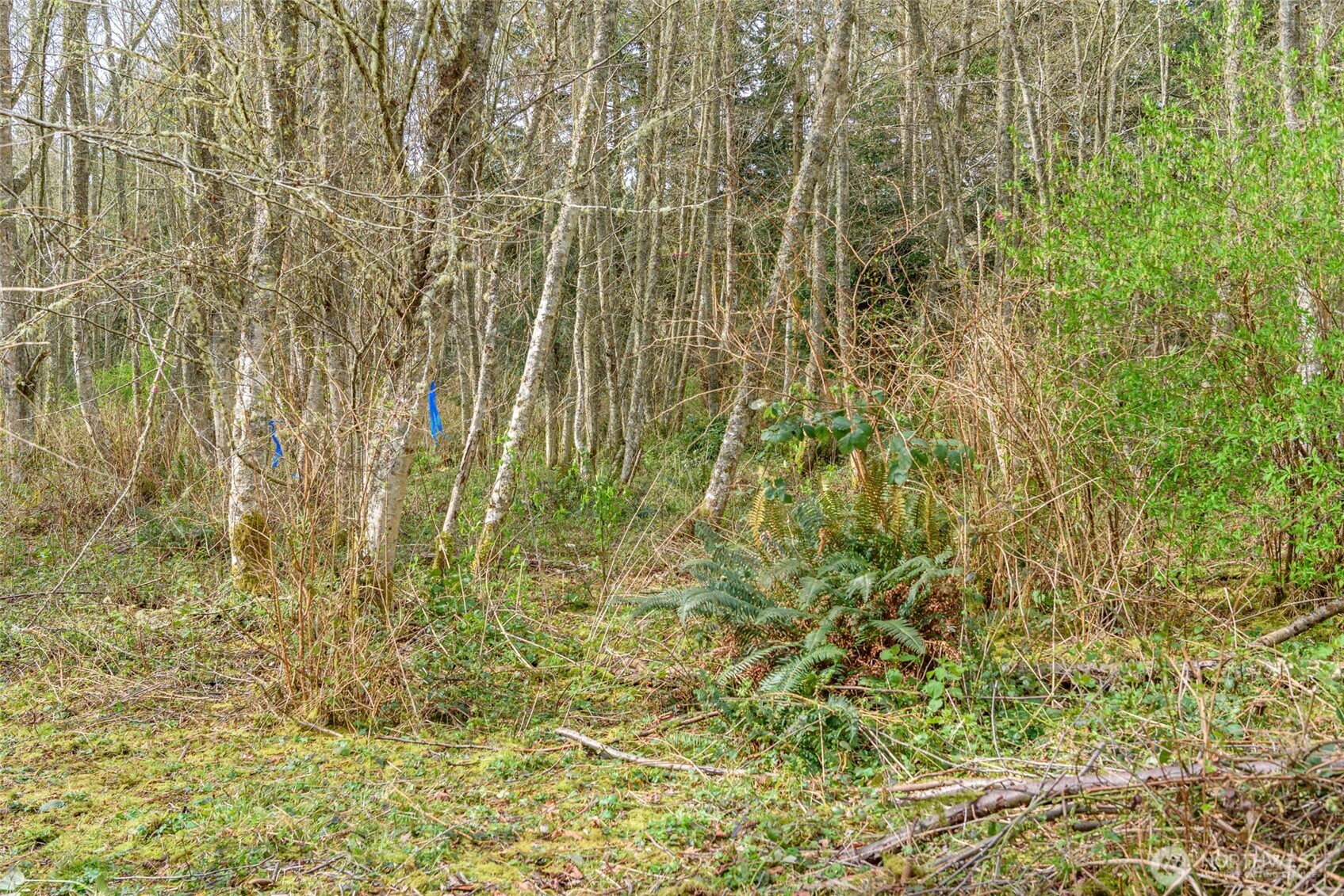 -nhn Polnell Road Oak Harbor, WA 98277 - Photo 16 of 31 a close view of shower and a yard