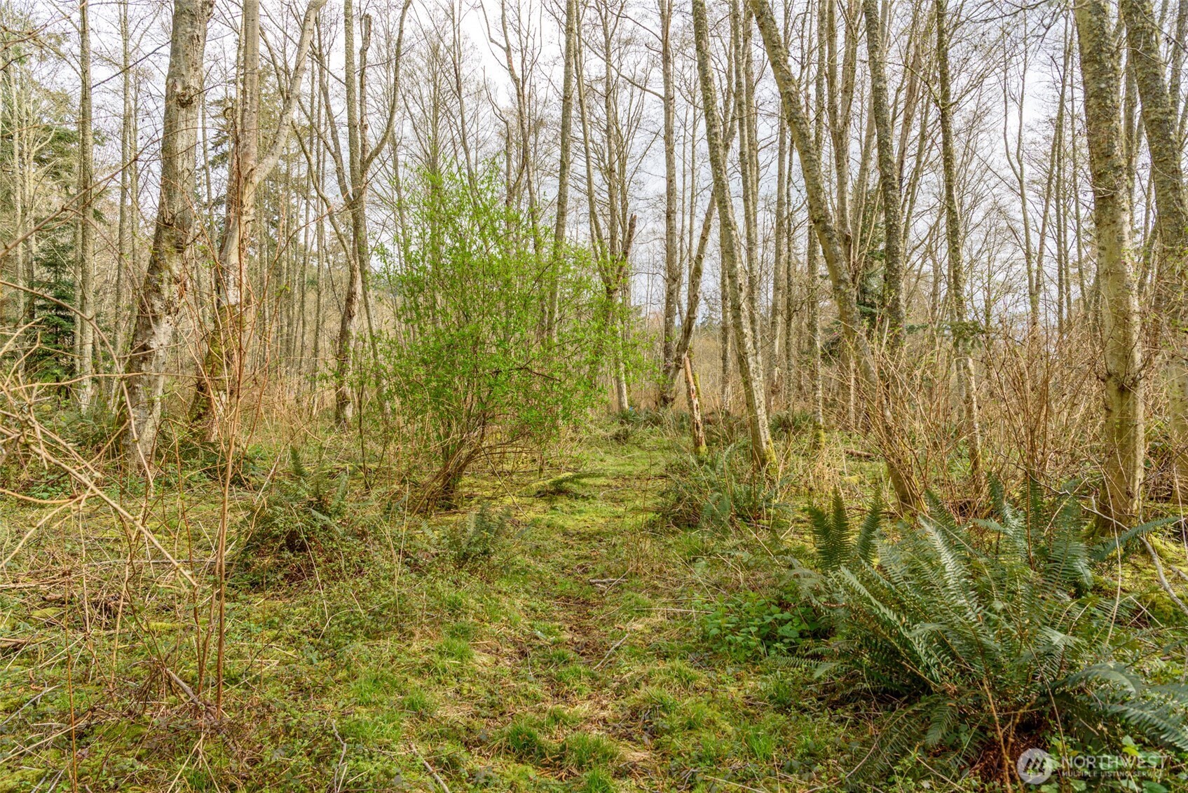 -nhn Polnell Road Oak Harbor, WA 98277 - Photo 18 of 31 a bathroom with a shower curtain