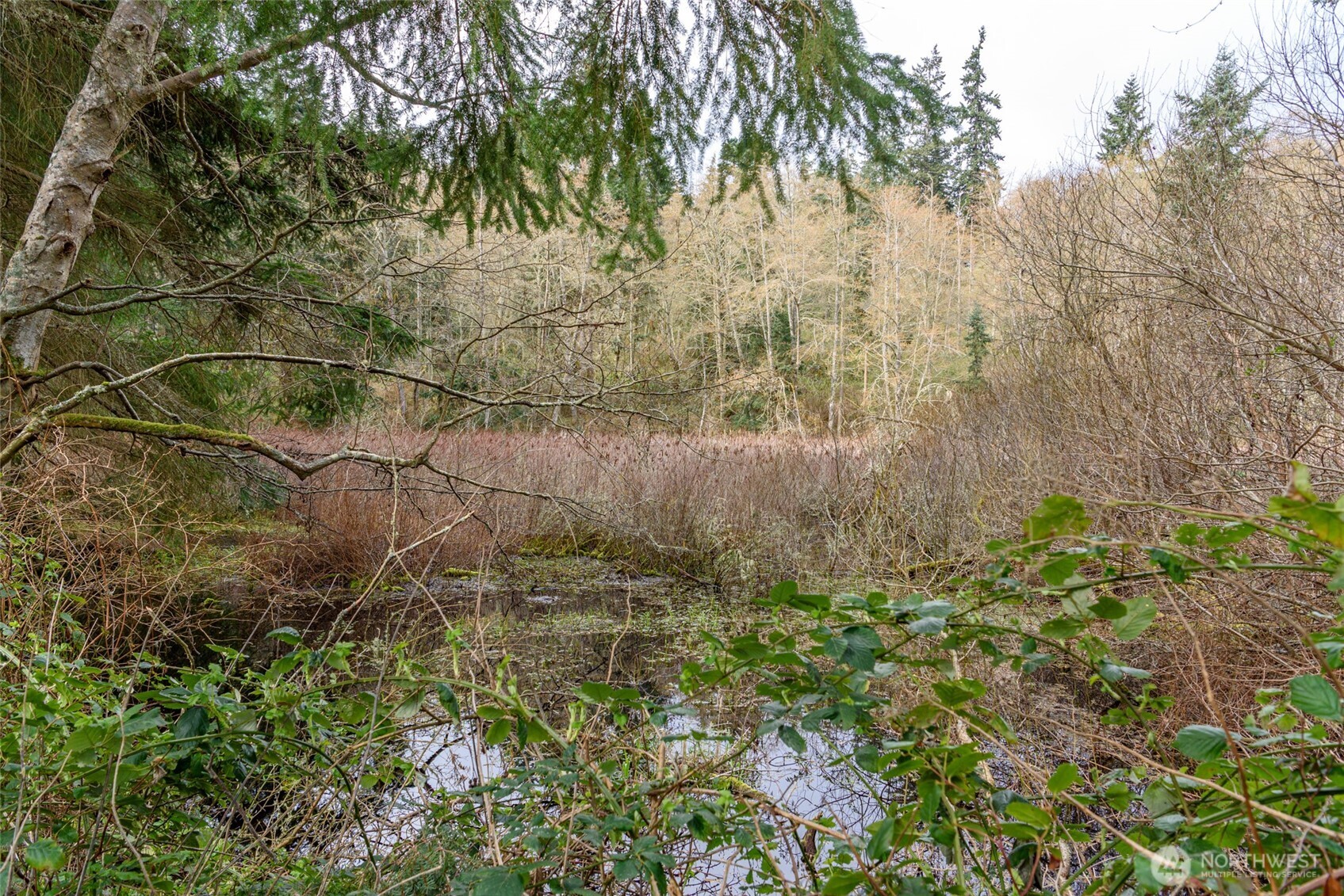 -nhn Polnell Road Oak Harbor, WA 98277 - Photo 20 of 31 a view of a yard