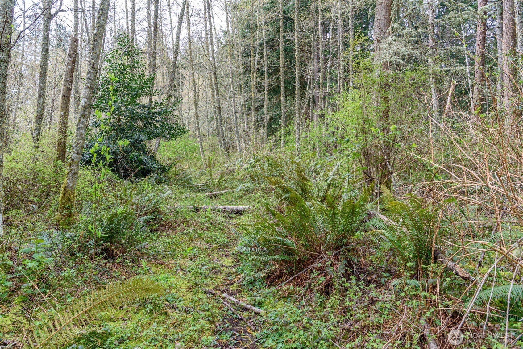 -nhn Polnell Road Oak Harbor, WA 98277 - Photo 23 of 31