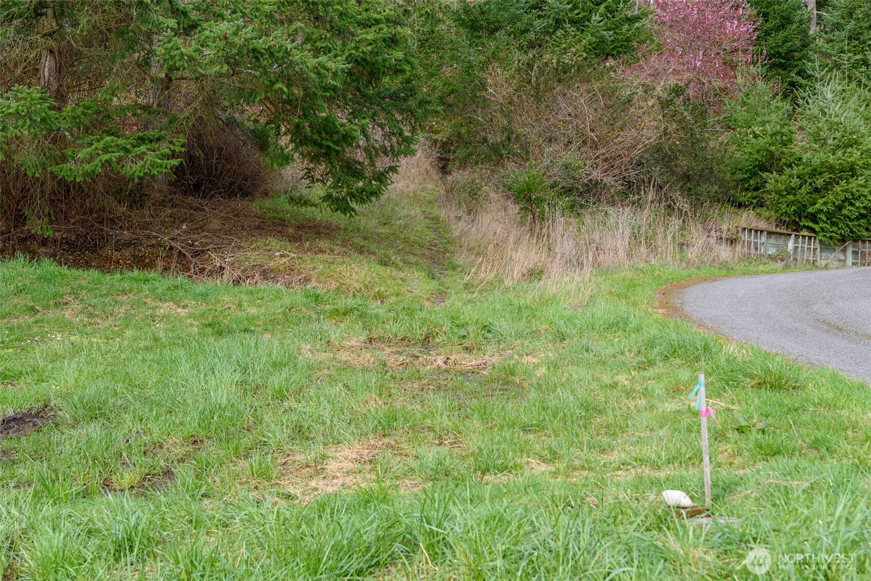 -nhn Polnell Road Oak Harbor, WA 98277 - Photo 8 of 31 a view of a garden with a tree