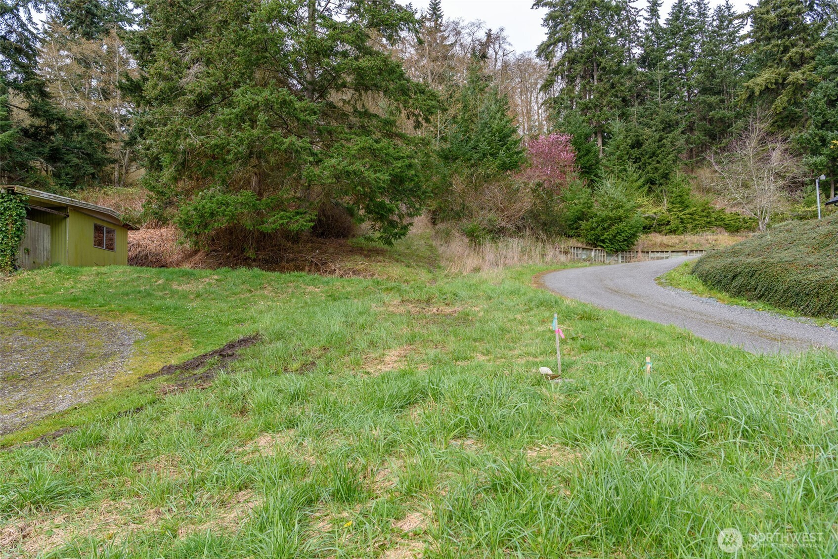 -nhn Polnell Road Oak Harbor, WA 98277 - Photo 10 of 31 a backyard of a house with lots of green space