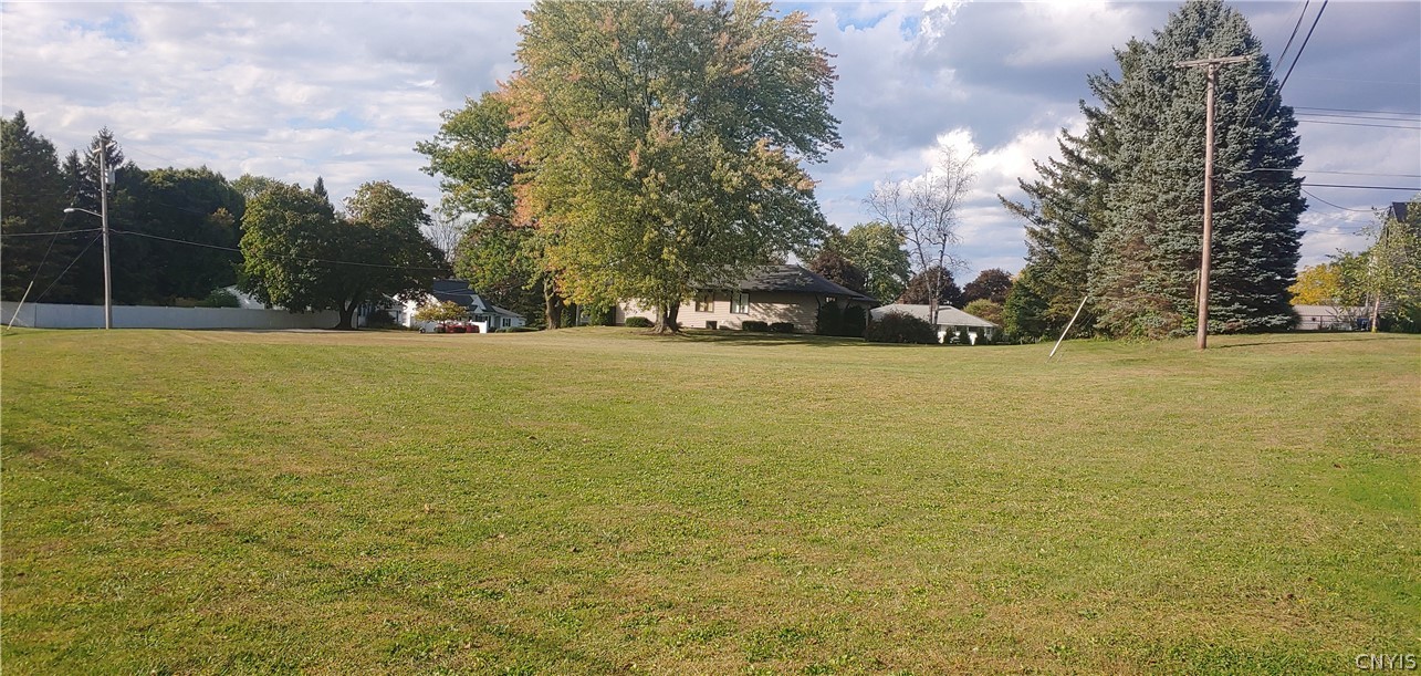 0 Button Road Sullivan, NY 13037 - Photo 1 of 3