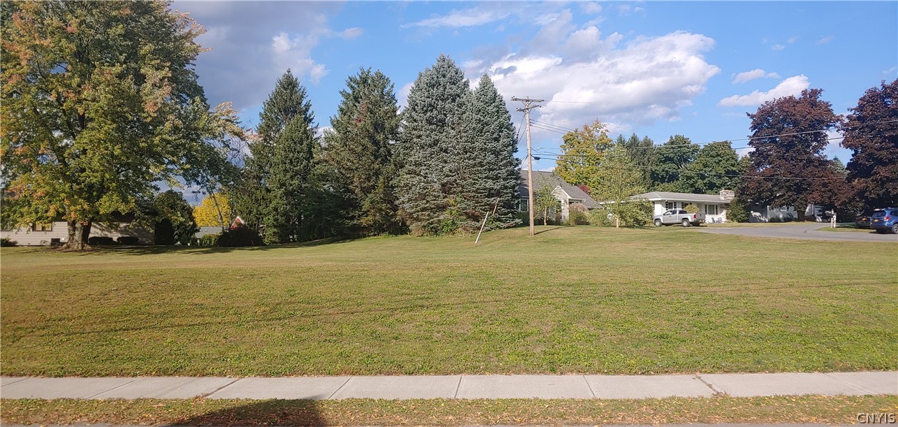 0 Button Road Sullivan, NY 13037 - Photo 2 of 3