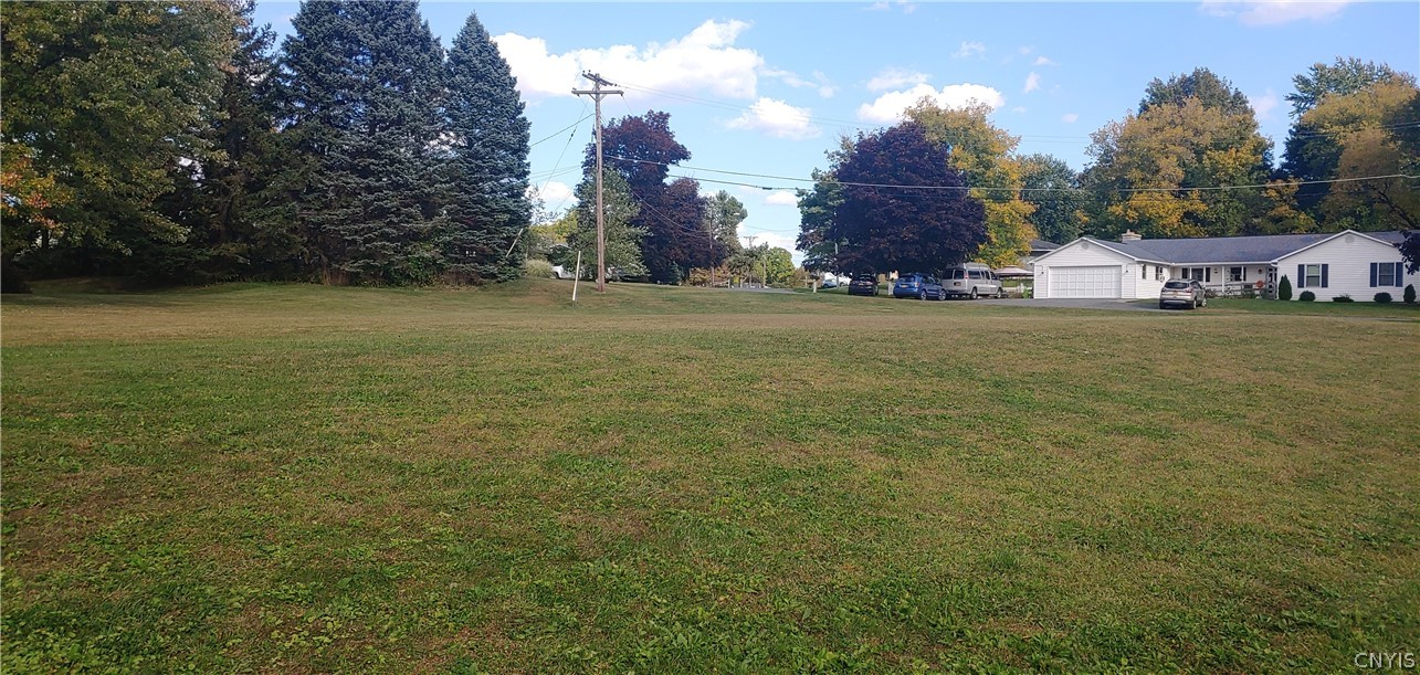 0 Button Road Sullivan, NY 13037 - Photo 3 of 3