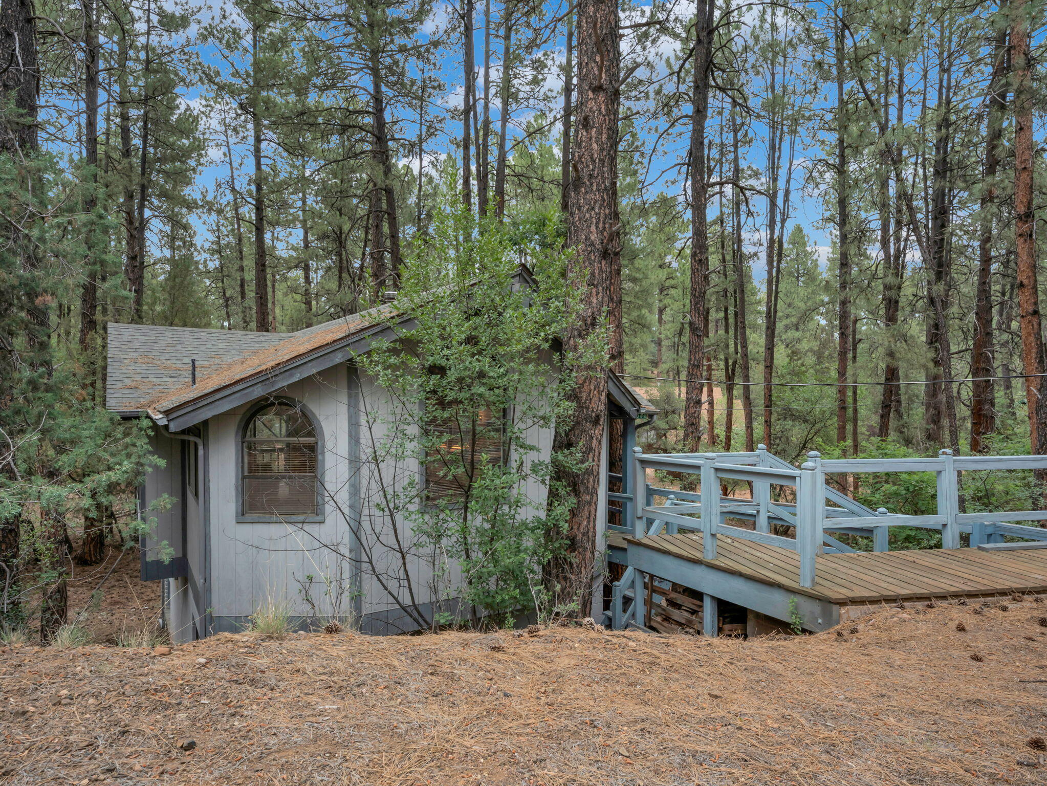 6368 Sharyn Road Pine, AZ 85544 - Photo 38 of 39