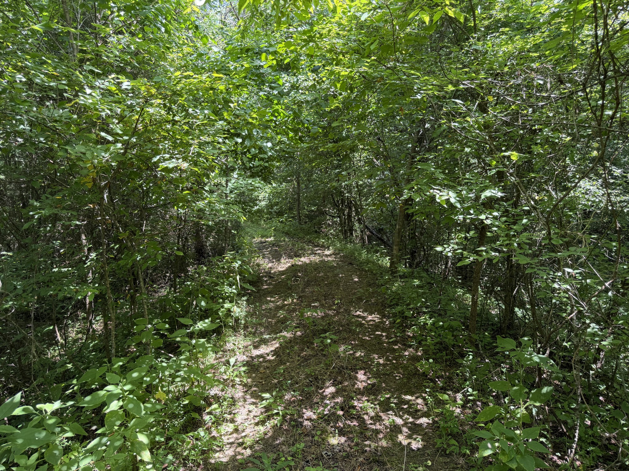 0 Winchester Highway Kelso, TN 37348 - Photo 46 of 46