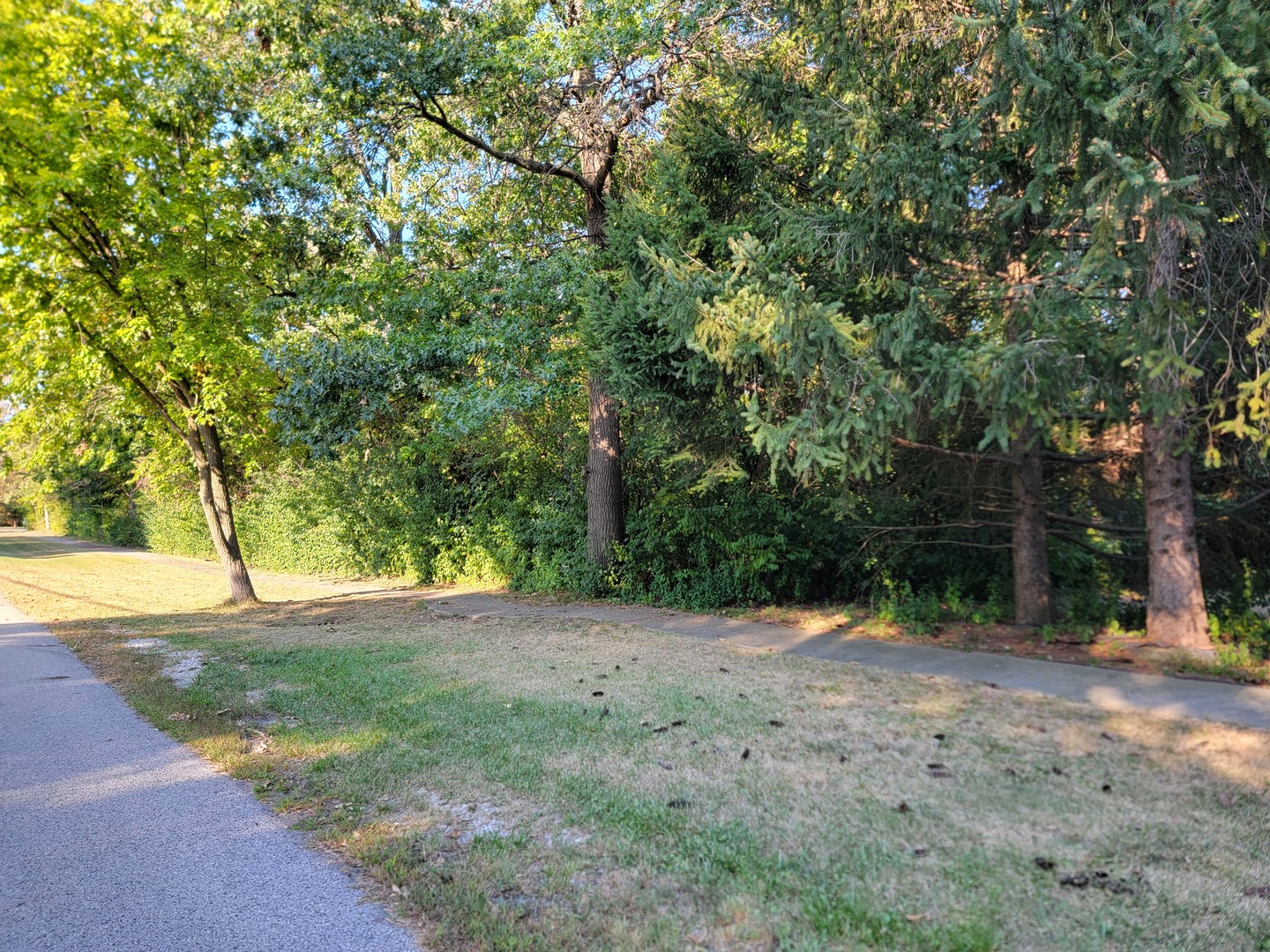 137 South Delany Road Gurnee, IL 60031 - Photo 11 of 12 a view of a yard with a tree