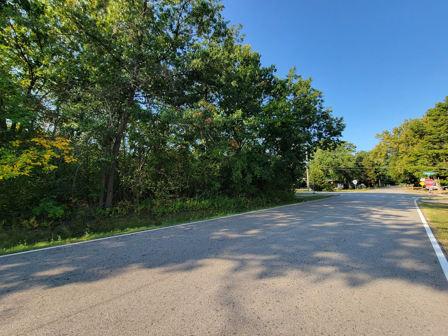 137 South Delany Road Gurnee, IL 60031 - Photo 7 of 12 a view of a field with trees in the background