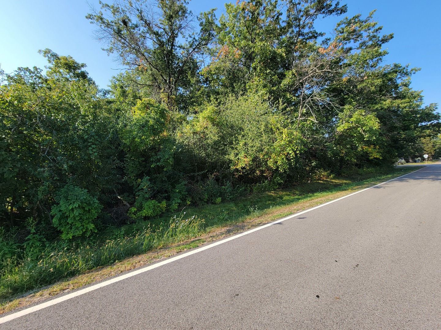 137 South Delany Road Gurnee, IL 60031 - Photo 8 of 12 a view of a street view