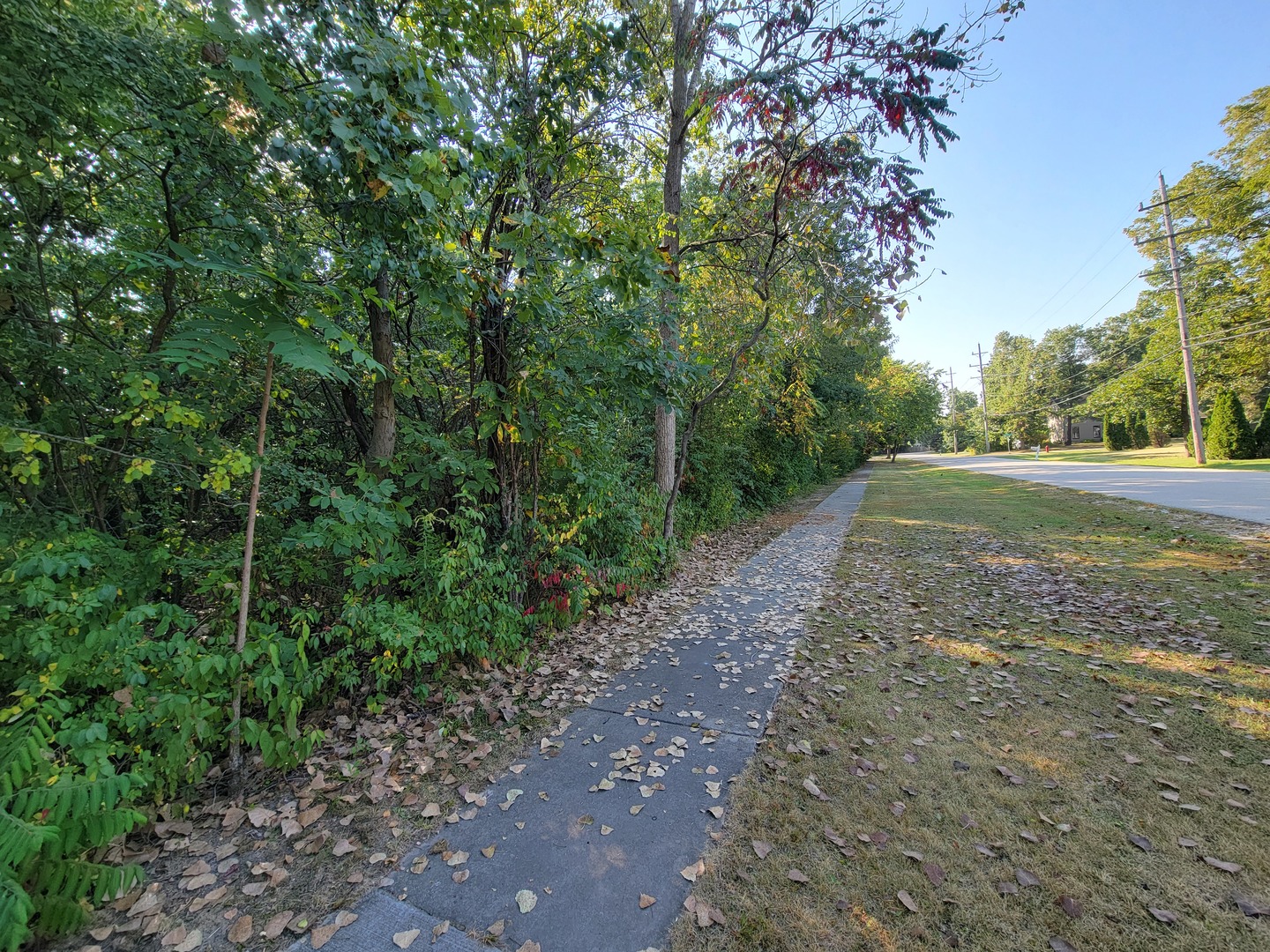 137 South Delany Road Gurnee, IL 60031 - Photo 9 of 12 a view of a yard with plants and trees