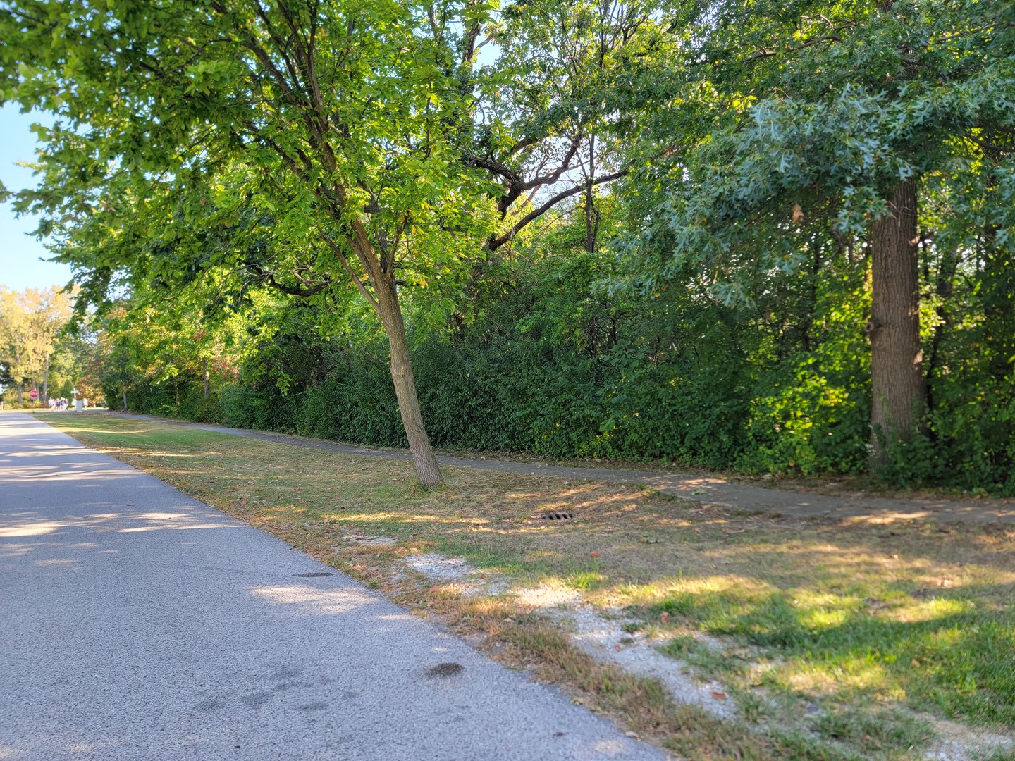 137 South Delany Road Gurnee, IL 60031 - Photo 10 of 12 a view of backyard of green space
