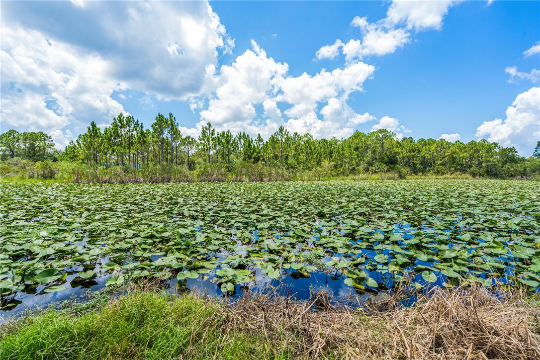 10255 99th Way Sebastian, FL 32958 - Photo 11 of 20 a view of a bunch of trees and houses