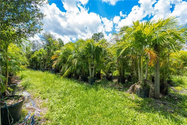 a green field with lots of trees