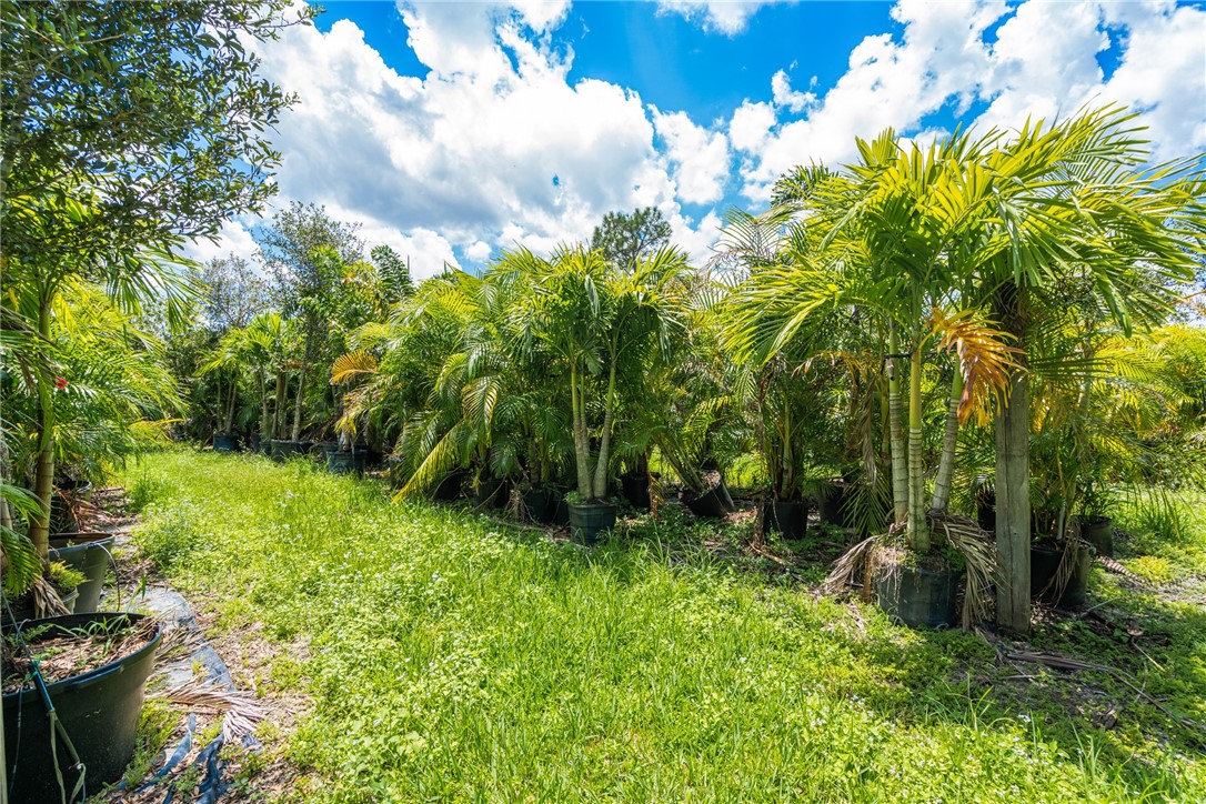 10255 99th Way Sebastian, FL 32958 - Photo 4 of 20 a green field with lots of trees