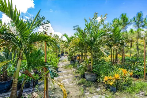 a plant that is in a garden