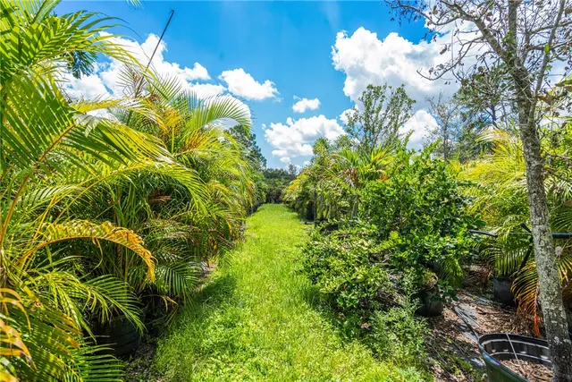 a view of a flower in a garden