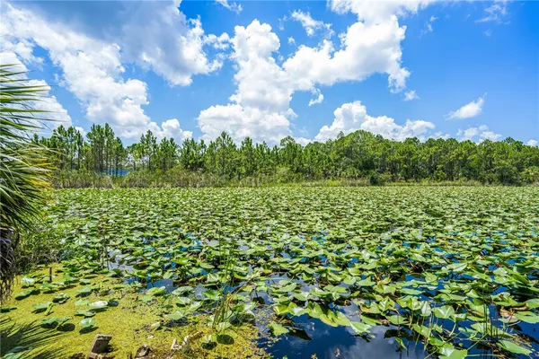 a view of a lake