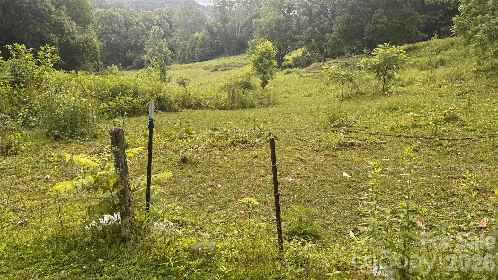 0 Soco Road Maggie Valley, NC 28751 - Photo 24 of 26