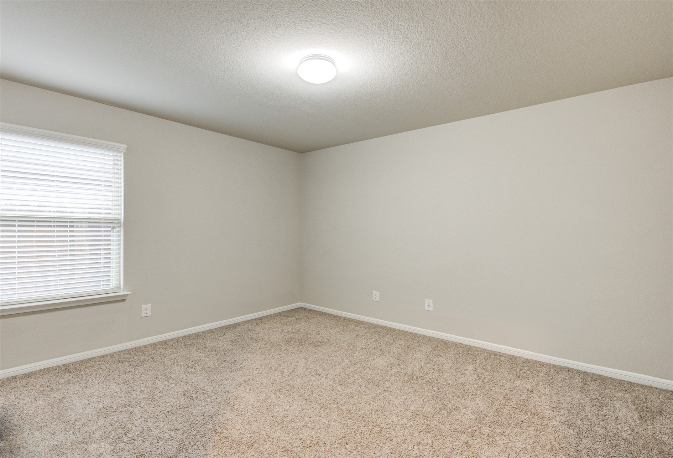 8002 Carillon Way Rosharon, TX 77583 - Photo 15 of 20