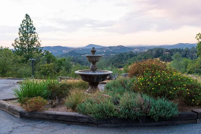 a view of a garden with a sink