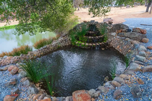 a view of a garden with an outdoor space