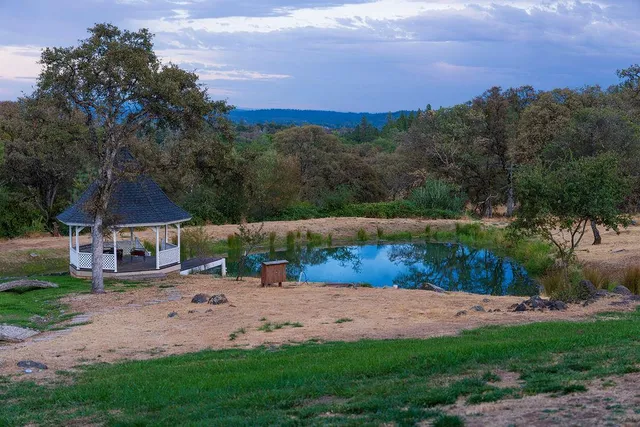 a view of a backyard with a garden