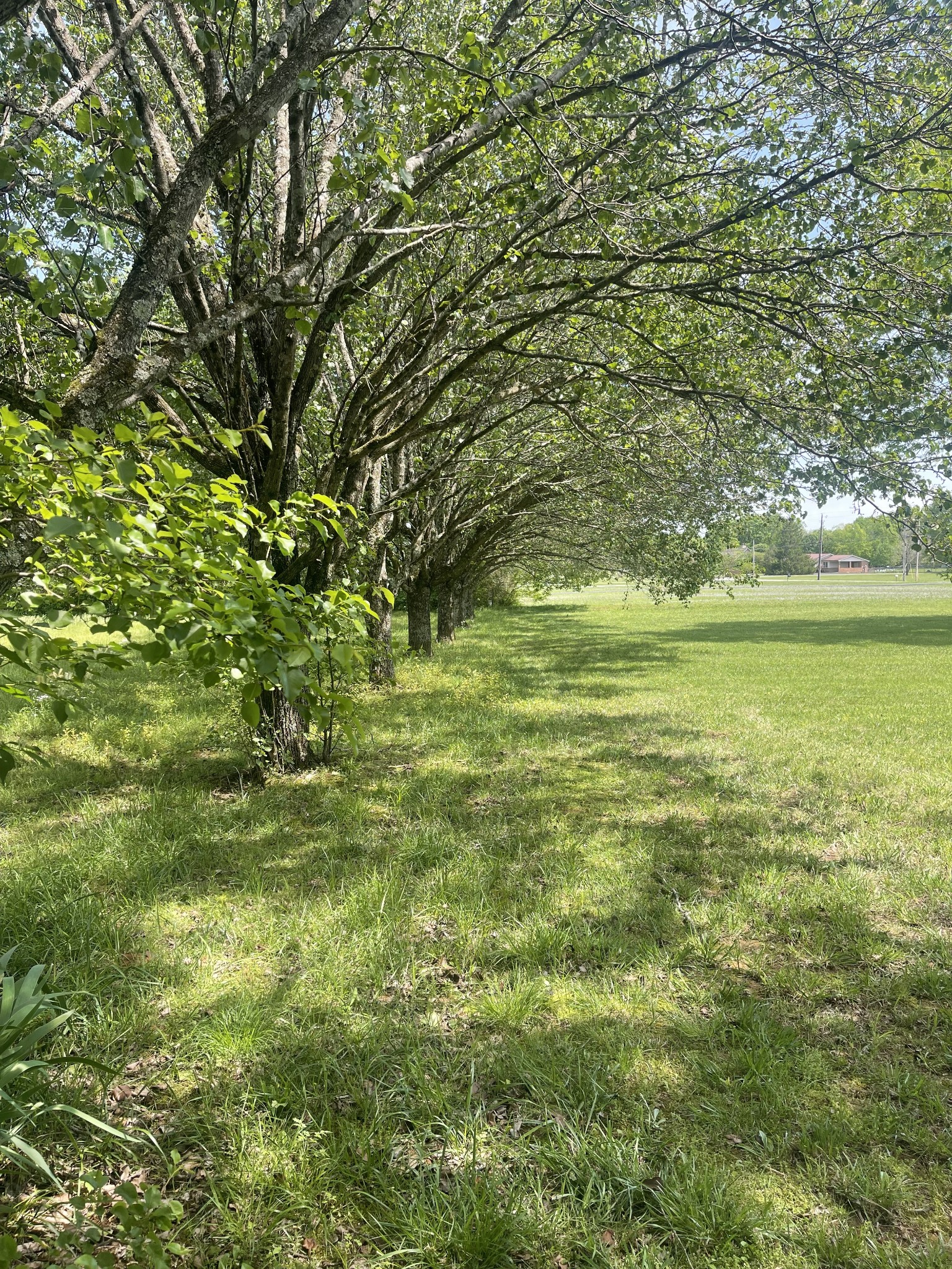 906 Rome Pike Lebanon, TN 37087 - Photo 10 of 36 Gallery Image 10