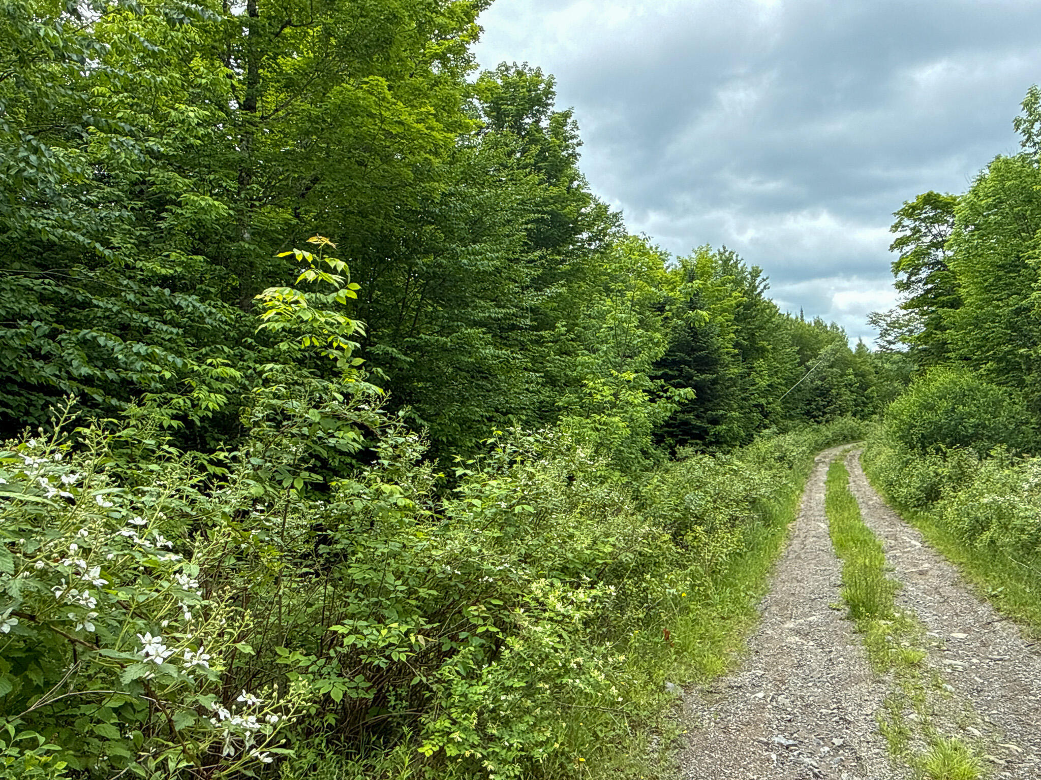 B B Lookout Lane Springfield, ME 04487 - Photo 23 of 33