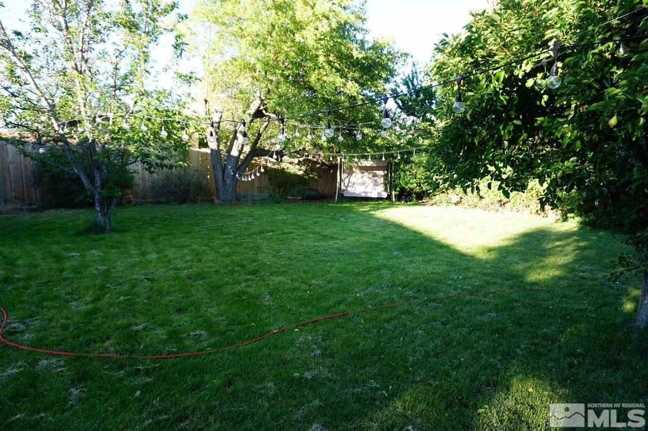 845 Bates Avenue Reno, NV 89502 - Photo 6 of 18 a view of a yard with a tree