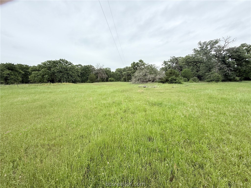 Tbd Wannabe Road Bryan, TX 77808 - Photo 24 of 25 a view of field with trees in the background