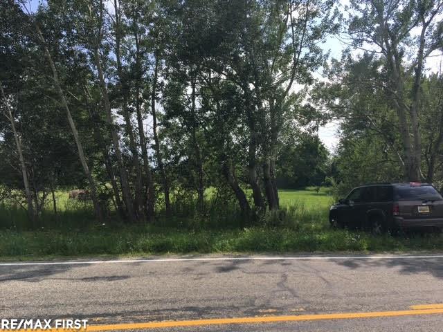0 Belle River Road Allenton, MI 48002 - Photo 17 of 20
