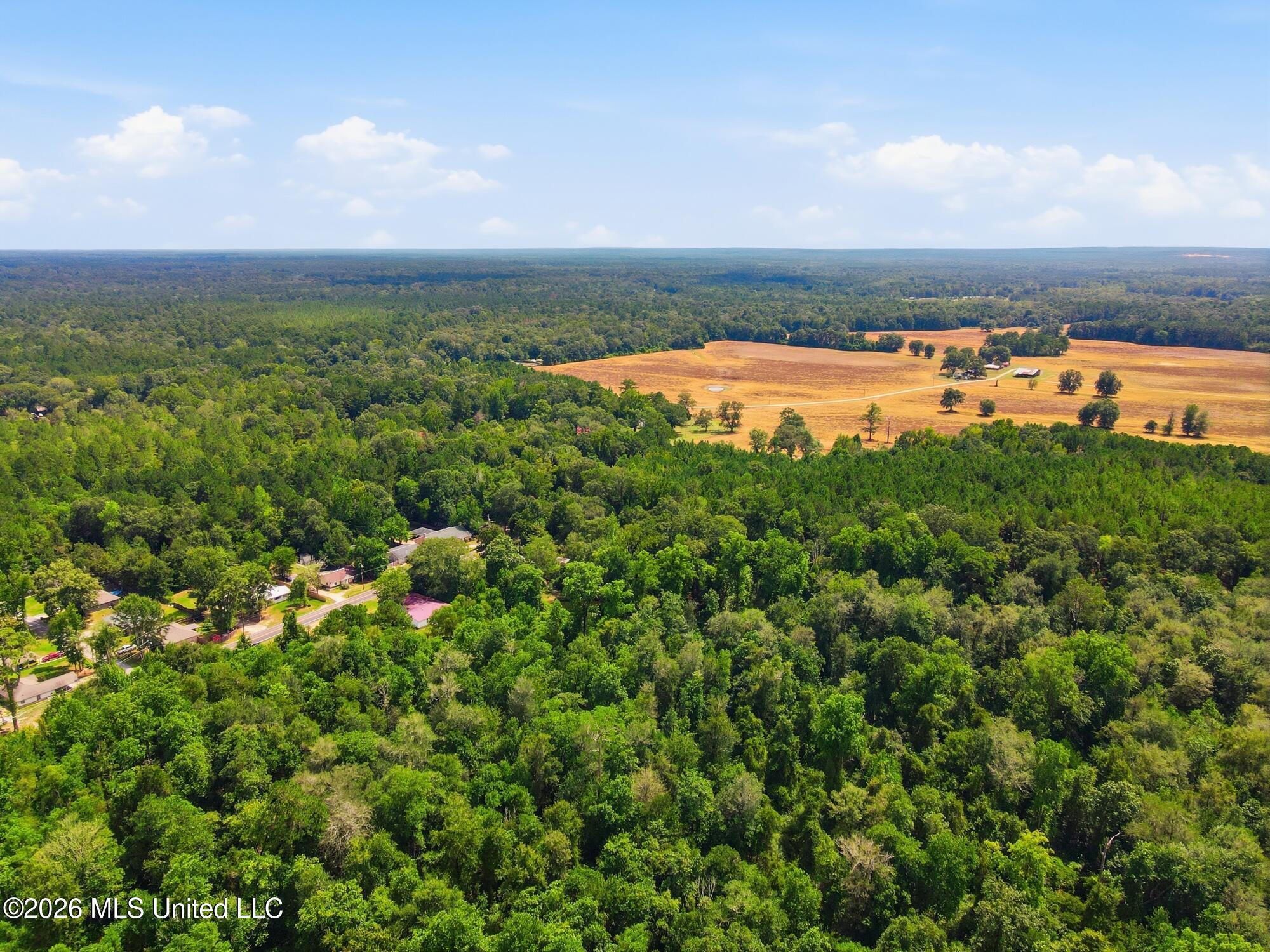 1508 Carterville Road Petal, MS 39465 - Photo 37 of 41 Aerial