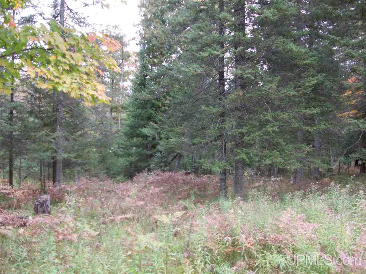 3080 Co Road Cornell, MI 49818 - Photo 14 of 15