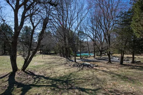 a view of backyard with tree