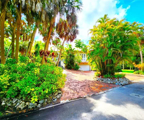 a view of a garden with plants