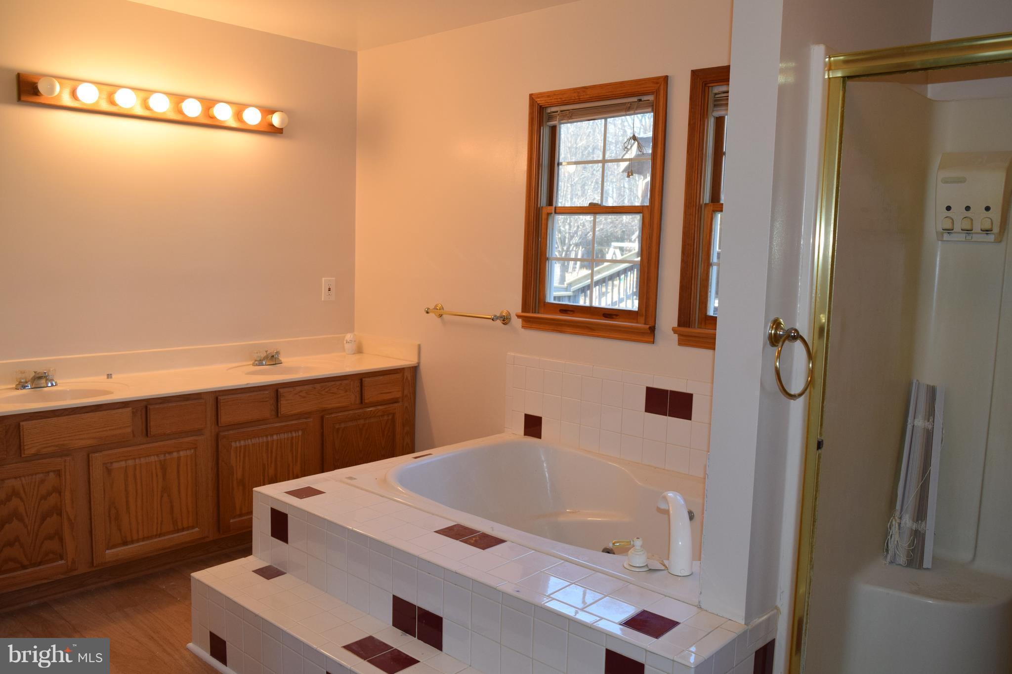 3384 Ensors Shop Road Midland, VA 22728 - Photo 11 of 17 Bath (Master)