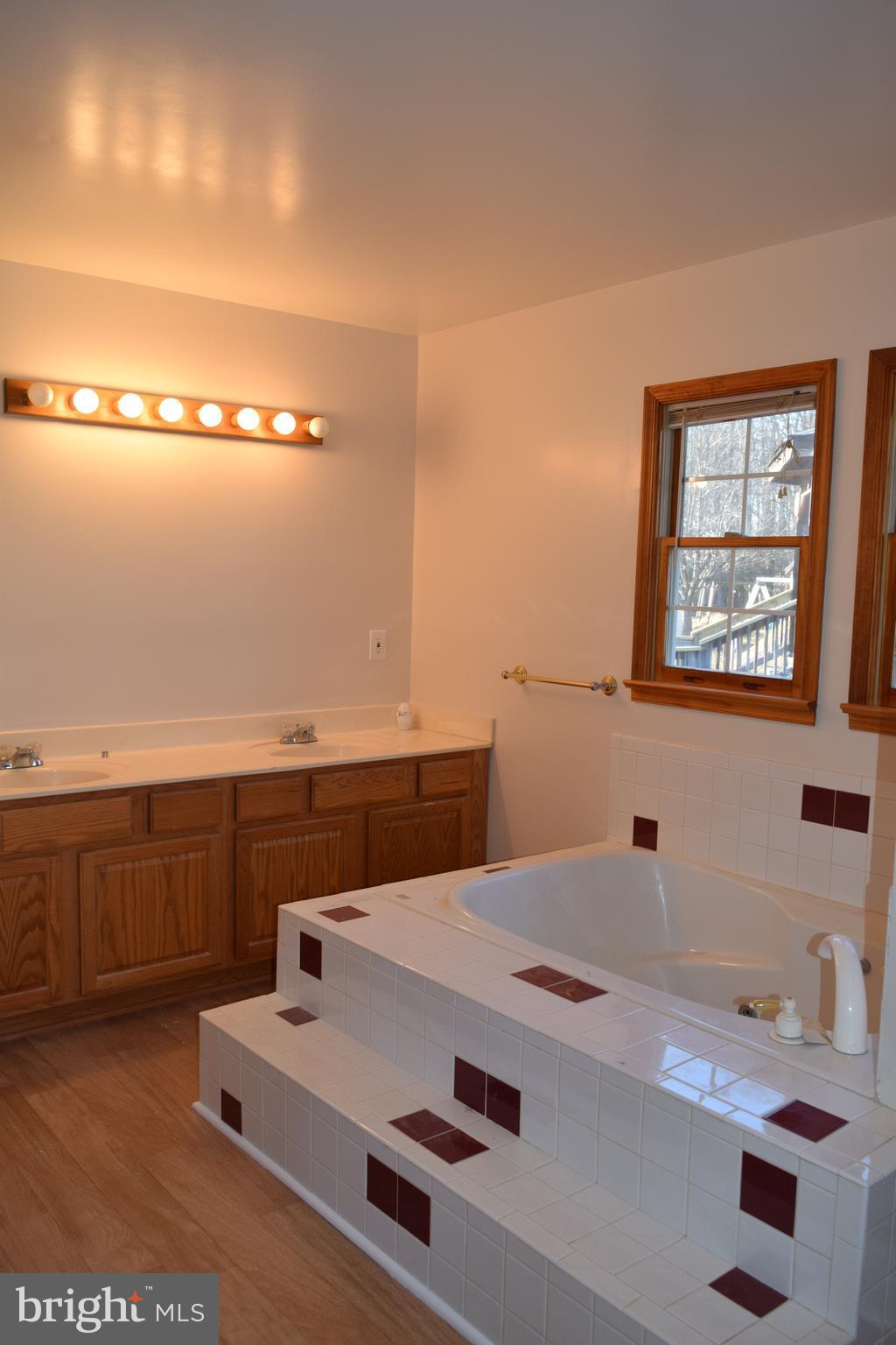 3384 Ensors Shop Road Midland, VA 22728 - Photo 12 of 17 Bath (Master)