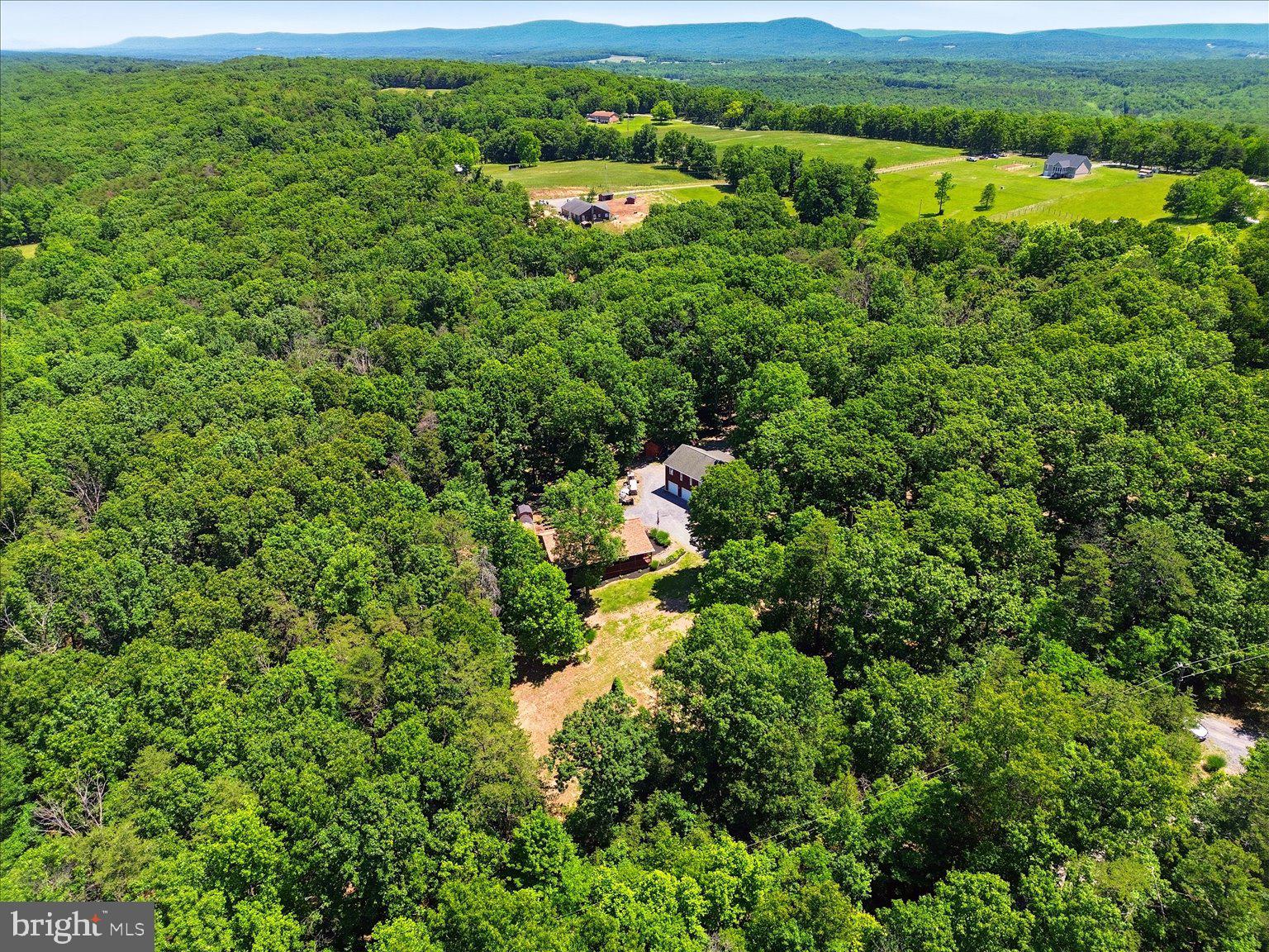 323 South Timber Ridge Road Cross Junction, VA 22625 - Photo 99 of 109 Serene woodland retreat awaits you.