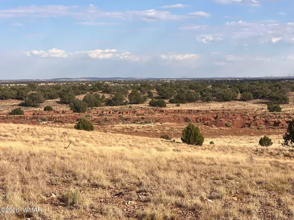 $135,000 | N9237 Miller Lane, Concho, AZ 85924
