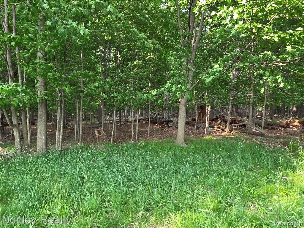 5900 Frenchline Road Marlette, MI 48453 - Photo 7 of 16