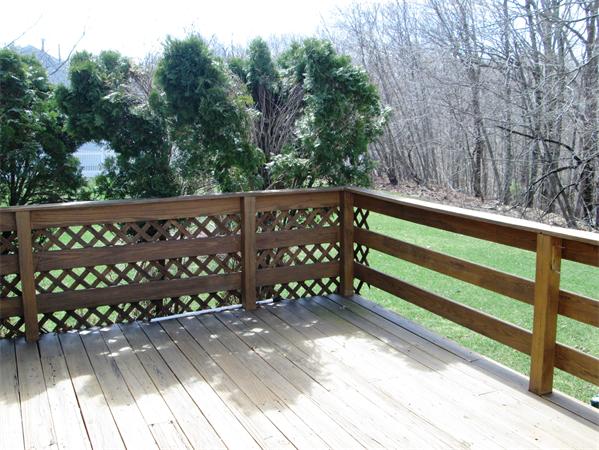 54 Azalea Road Sharon, MA 02067 - Photo 17 of 18