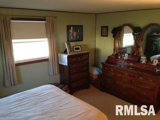 207 Prairie Road Carterville, IL 62918 - Photo 6 of 9 Gallery Image 6