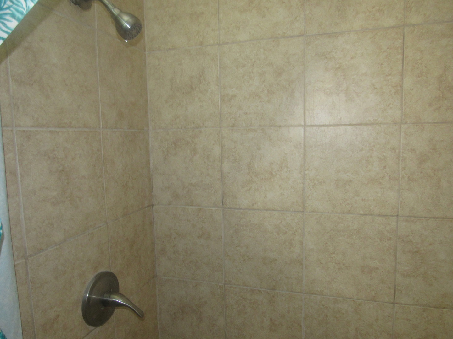 1132 East 81st Street, Unit H Chicago, IL 60619 - Photo 11 of 19 a bathroom with a shower