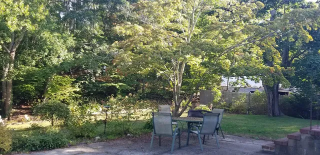 a view of a wooden bench and trees in the back yard